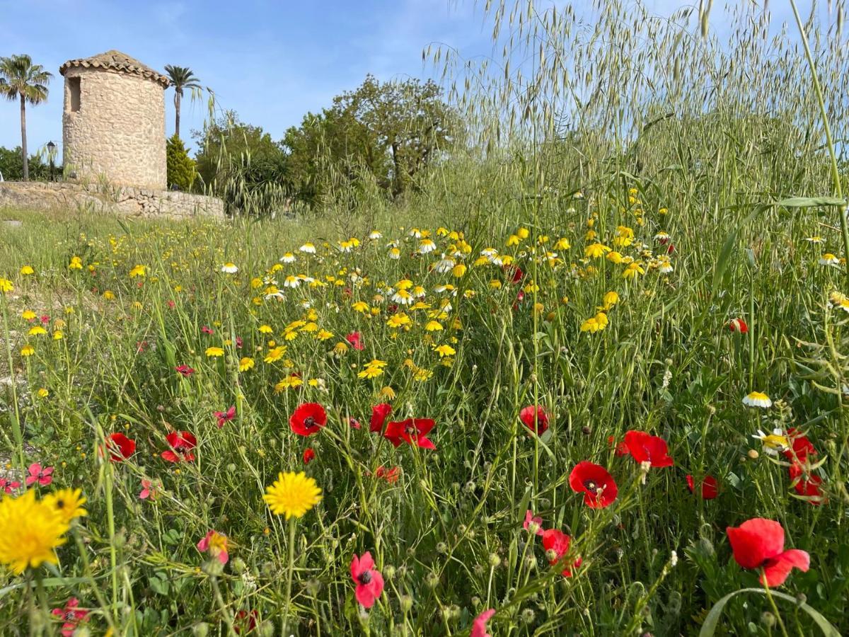 Finca Son Manera Montuiri  Dış mekan fotoğraf